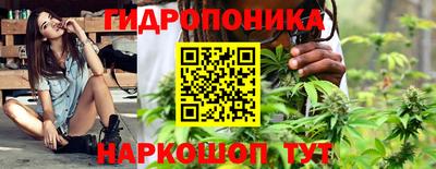 крисы Бийск