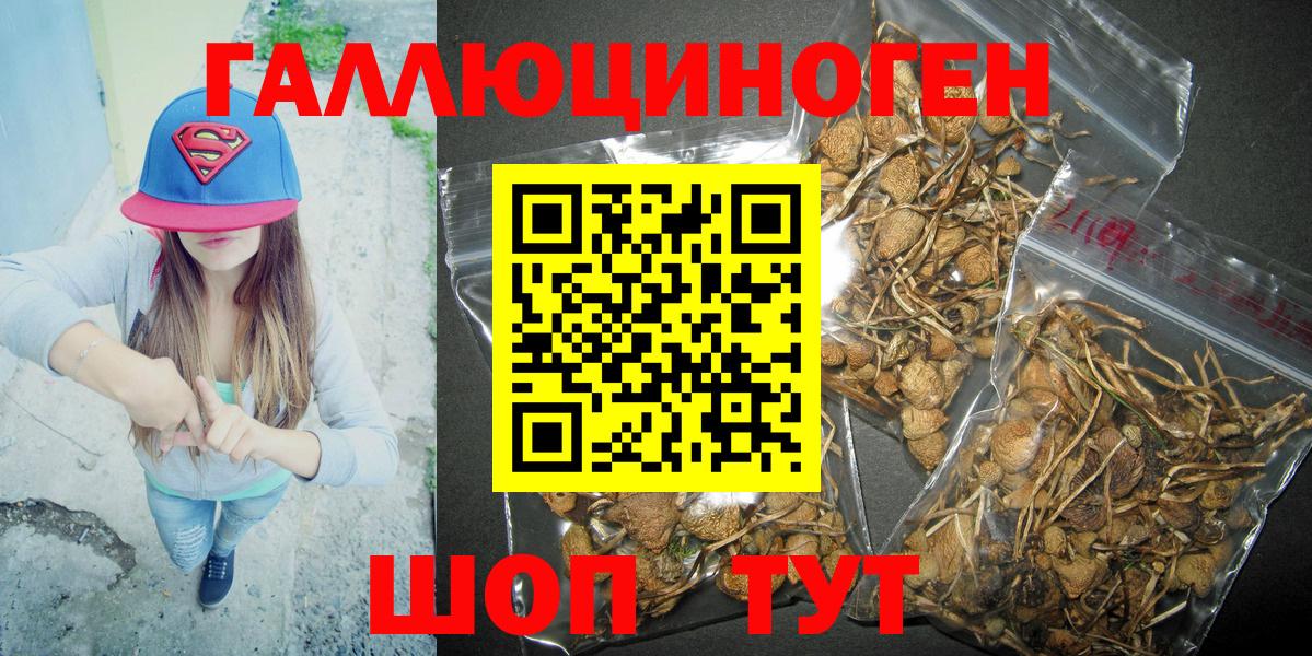 Псилоцибиновые грибы Magic Shrooms  как найти закладки  Кирово-Чепецк  Галлюциногенные грибы ЛСД  Вход с VPN 