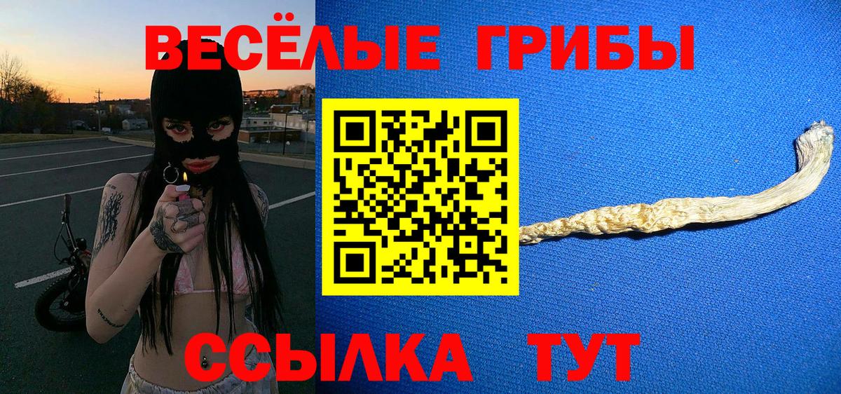 Галлюциногенные грибы мухоморы Кирово-Чепецк